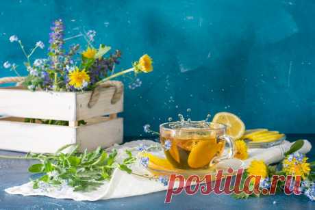 Как приготовить чай из одуванчиков — сезонные рецепты - Beauty HUB