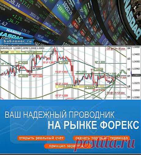 Как заработать на бирже Форекс | Все виды и способы заработка в интернете