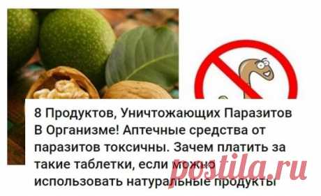 8 Продуктов, Уничтожающих Паразитов В Организме! Аптечные средства от паразитов токсичны. Зачем платить за такие таблетки, если можно использовать натуральные продукты
Аптечные средства от паразитов токсичны. Зачем платить за такие таблетки, если можно использовать натуральные продукты?
От паразитарных болезней страдает бо́льшая часть населения мира. В борьбе с паразитами вашему организму помогут распространённые природные лекарства.
Паразитарные болезни распространены нам...