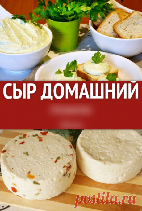 Простой рецепт вкусного домашнего сыра из молока.
рубашка рукава рукавички рулик русалка крючком спицами вязание вязаные амигуруми вязаный узоры вязаная шапка рисунок сандалии сандали сарафанчики светильники связанная сердечко канзаши сидушки складки скрамбли следы сложные слоники снегурка снегурочка собака современные повойники совушка макраме сотами соты видео со спиралевидные спиралька спицы стиль шамони твид  текстурный бриошь тапочки бактус схемы следки свитер оверсайз