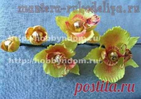 букет из конфет: Ветка орхидеи