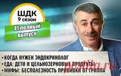 ШДК: Когда нужен эндокринолог. Еда: дети и цельно-зерновые продукты. Мифы: бесполезность прививки от гриппа