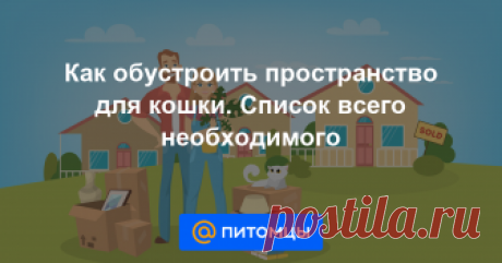 Как обустроить пространство для кошки. Список всего необходимого Перечисляем список необходимого для кошки, чтобы та чувствовала себя дома в безопасности, была в хорошей физической форме и важно! не создавала проблем хозяевам. Лоток, лежанка и когтеточка это кандидатский минимум...