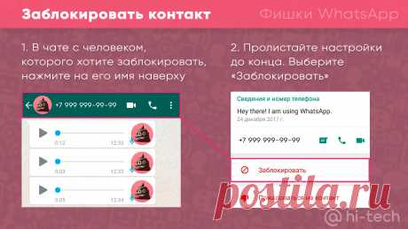 15 фишек WhatsApp, о которых должен знать каждый - Hi-Tech Mail.ru