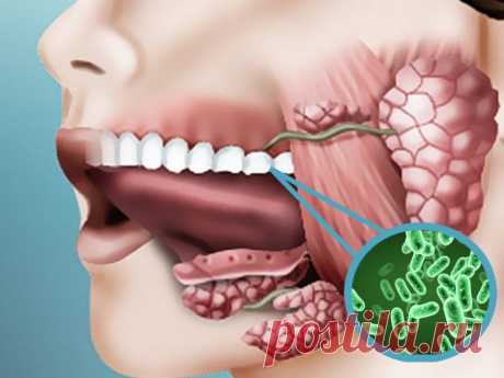 О масляном полоскании полости рта известно более трех тысяч лет. Мудрецы Индии создали свод правил для поддерживания тела и психики в здоровом состоянии.
