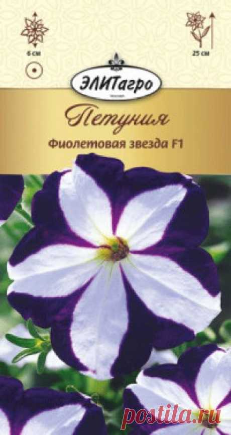 Семена. Петуния "Фиолетовая звезда F1", однолетник Количество: 10 штук (семян).
Всхожесть: 95%.
Эффектный крупноцветковый гибрид петунии высотой 25 см, с маленькими листьями и с очень ранним образованием цветков. Крупные цветки (диаметром до 6 см) необычной двуцветной окраски приведут Вас просто в восторг. Длительность и пышность...