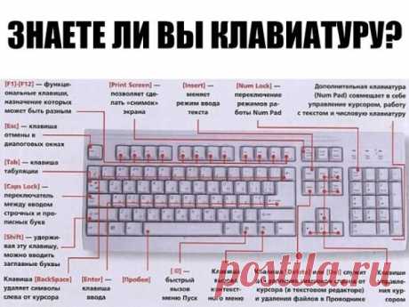 ЗНАЕТЕ ЛИ ВЫ КЛАВИАТУРУ НА СВОЁМ КОМПЬЮТЕРЕ?
F1— вызывает «справку» Windows или окно помощи активной программы. В Microsoft Word комбинация клавиш Shift+F1 показывает форматирование текста;
F2— переименовывает выделенный объект на рабочем столе или в окне проводника;
F3— открывает окно поиска файла или папки на рабочем столе и в проводнике. Комбинация клавиш Shift+F3 часто используется для поиска в обратном направлении;
F4— открывает выпадающий список, например, список стр...