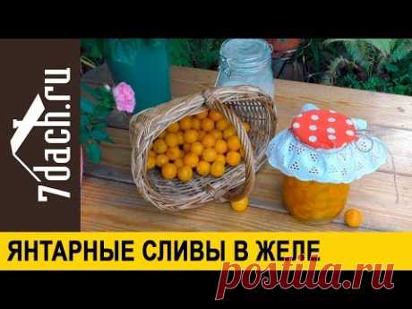 🍯 Сливы в желе: заготовка на зиму пальчики оближешь! - 7 дач