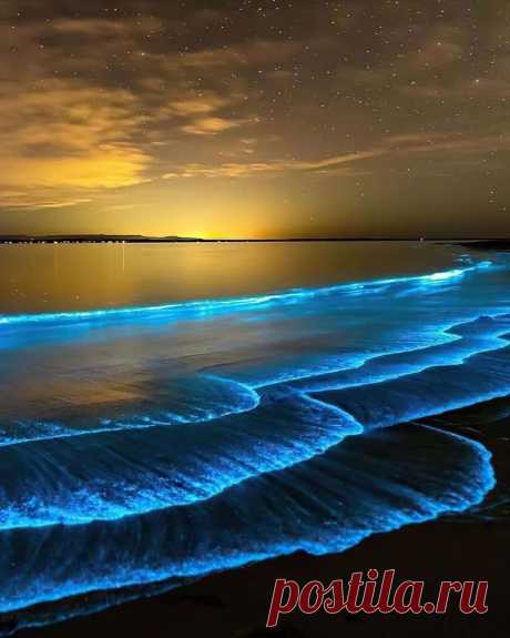 Вечерний пляж. Австралия
Светящиеся планктоны
