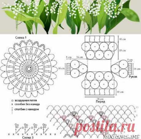 Одноклассники