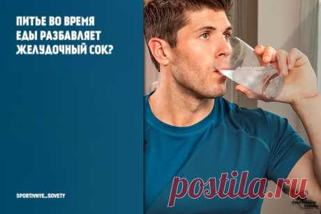 Питье во время еды разбавляет желудочный сок? (и прочая ересь) | Спортивные Советы | Яндекс Дзен