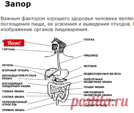 ЯПОНСКИЙ МАССАЖ ШИАЦУ / Восточный массаж