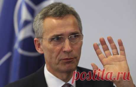 Столтенберг признал, что НАТО нечего делать в Сирии | Политпазл