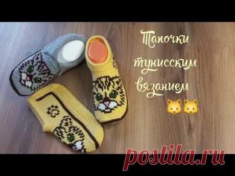 Вязаные тапочки "День кошек"🐱🐱. тунисское вязание+спицы 💛