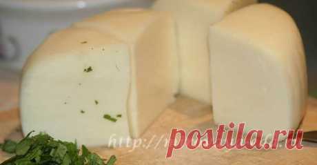 Как правильно приготовить сыр - Сулугуни | Вкусно и просто
