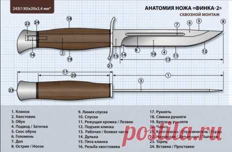 Острие, спуски, долы, режущая кромка и обух – что это такое, или разбираем клинок ножа на составляющие | Ножи, топоры и прочие железяки! | Яндекс Дзен