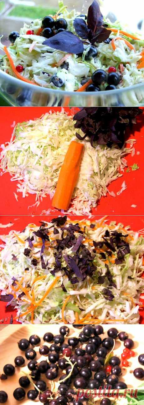 Салат из свежей капусты 

Просто восхитительный салат из свежей капусты. Черная смородина, базилик и капуста необыкновенно сочетаются в нем. Если вы подустали от прозаичных салатов, то он непременно придется вам по вкусу.