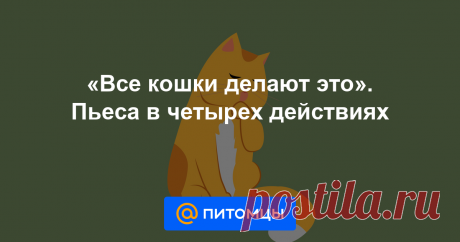 «Все кошки делают это». Пьеса в четырех действиях Наши кошки существа загадочные: некоторые их поступки, с точки зрения человека, лишены логики. Но в природе нет ничего нелогичного. Произведение Дарины Никоновой поможет читателям лучше понять кошачий мир.