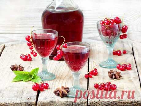 Домашние настойки на спирту – лучшие рецепты | Дачная кухня (Огород.ru)