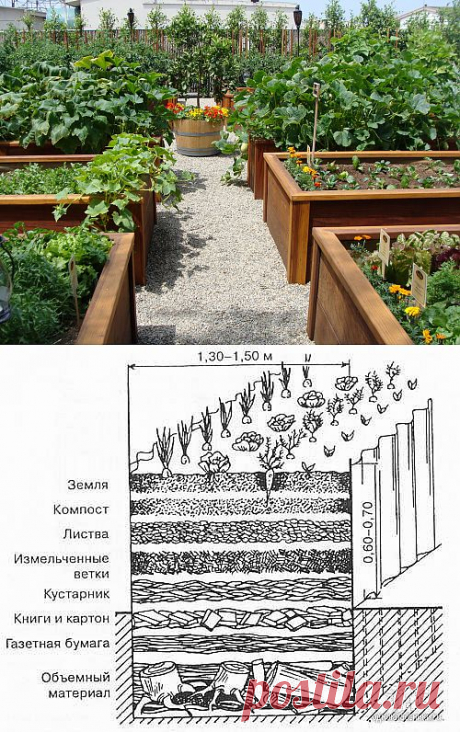Сооружаем теплые грядки своими руками / Огород / 7dach.ru