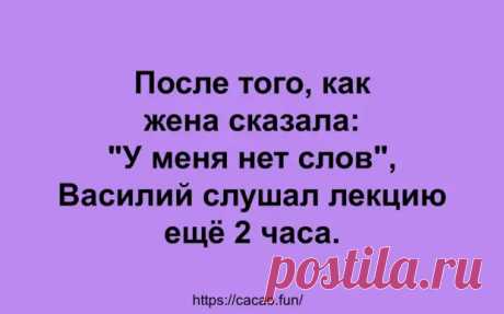 Чуточку забавных анекдотов вам в ленту - Сказка для двоих - 10 июня - 43469418988 - Медиаплатформа МирТесен