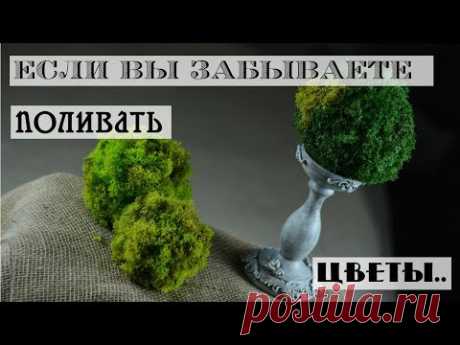 Preserved moss balls DIY / Moss decor / DIY faux stone candlestick