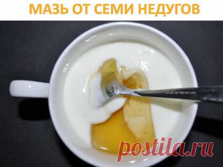 МАЗЬ ОТ СЕМИ НЕДУГОВ