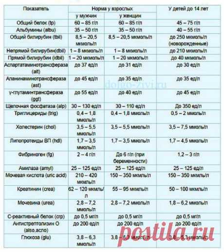 биохимический анализ крови расшифровка у взрослых норма в таблице — Яндекс: нашлось 7 млн результатов