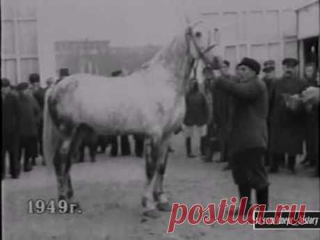 Каким был Днепр в 1949 году: редкие архивные видео - 04.10.2016, 16:35 - Новости на dnepr24.com.ua