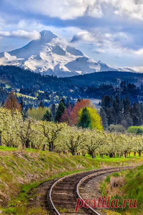 breathtakingdestinations:
“Mt Hood - Oregon - USA (von GeorgeOfTheGorge)
”