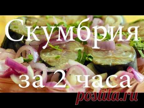 Малосольная маринованная скумбрия за 2 часа - YouTube