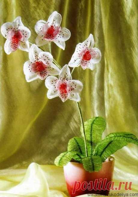 Орхидея из бисера Орхидея из бисера мастер класс. Пошаговый мастер класс орхидеи из бисера