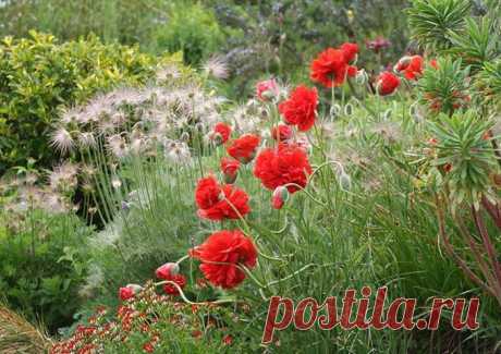 Timeline Photos - Sociedad Argentina de Horticultura