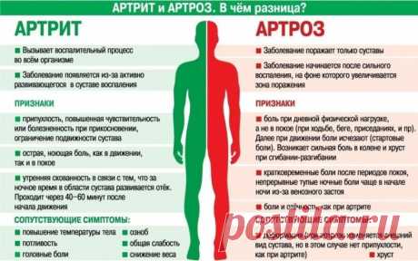 Сохраняйте активность, чтобы облегчить боль при артрите 
 
На первый взгляд это нелогично, но если у вас болят суставы, возможно, вам стоит двигаться больше, а не меньше. 
 
Единственный проверенный способ предотвратить обострение артрита — это сохранять физическую активность и держать вес в норме. 
 
Регулярные занятия спортом снижают нагрузку на суставы, укрепляя окружающие их мышцы и способствуя снижению веса. Кроме того, растяжка и физическая активность сохраняют подви...