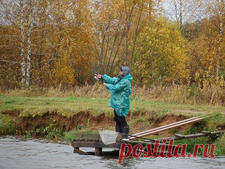 Колебалки не подводят никогда