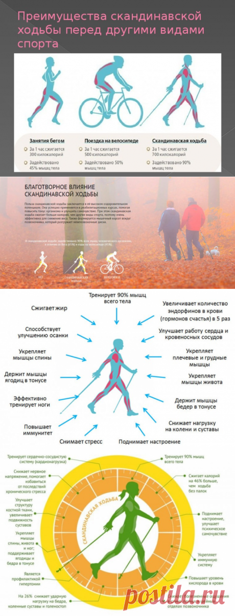 Почему стоит заняться скандинавской ходьбой