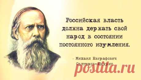 20 метких цитат Салтыкова-Щедрина: не в бровь, а в глаз «Если я усну и проснусь через сто лет и меня спросят, что сейчас происходит в России, я отвечу: пьют и воруют...»