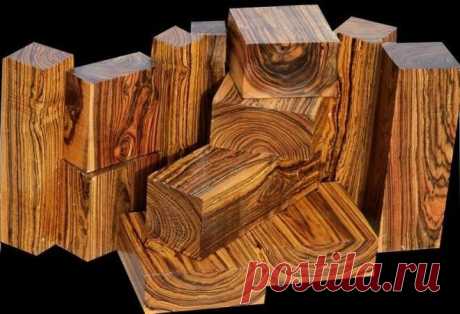 10 самых дорогих пород древесины в мире