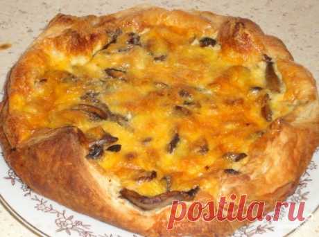 Открытый пирог с курицей и грибами - пошаговый рецепт с фото на Повар.ру