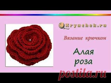 Алая роза крючком (Crochet Rose)