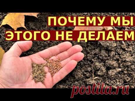 Что МОЖНО посеять, посадить осенью?