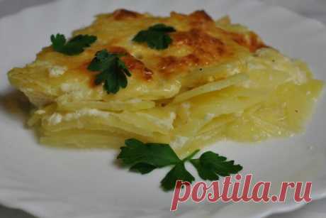 Картофель «Дофине» с сыром в духовке, рецепт с фото