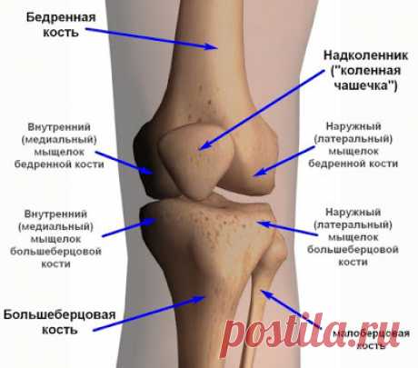 БЛОГ ПОЛЕЗНОСТЕЙ: Боли в коленях: лечение народными средствами