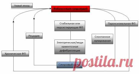 Мерцательная аритмия: лечение аритмии, профилактика, причины, симптомы - Propanorm.ru