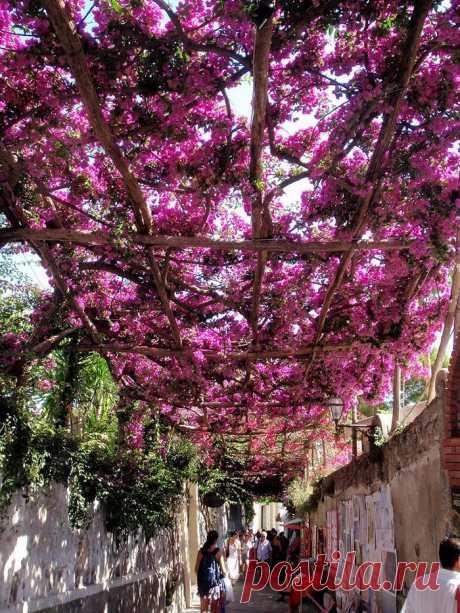 15 самых волшебных улиц в тени цветов и деревьев
