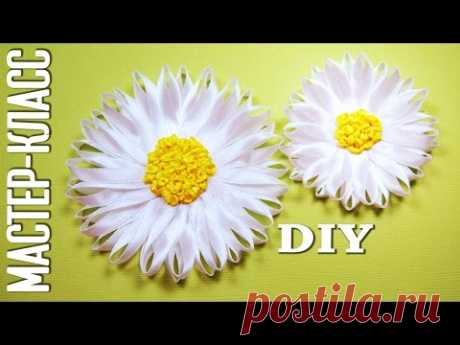 Мастер-класс: РОМАШКИ из атласных лент! Канзаши / DIY Сamomile Kanzashi / ✿ NataliDoma - YouTube