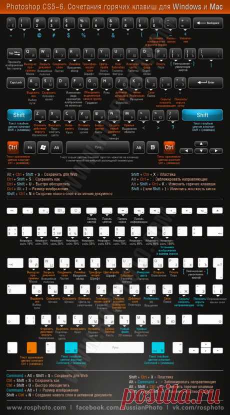 Горячие клавиши Photoshop Инфографика — Российское фото