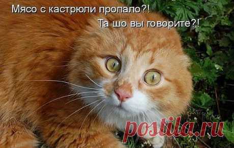 Котлеты для ~Английской королевы~. | 4vkusa.ru