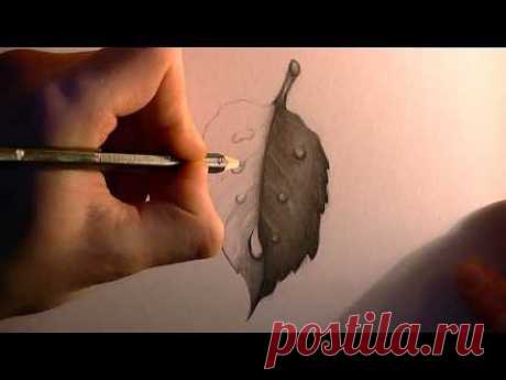 Drawing a Leaf with Waterdrops (HD) - YouTube