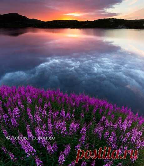 Кольский полуостров, Россия. Автор фото: Любовь Трифонова.